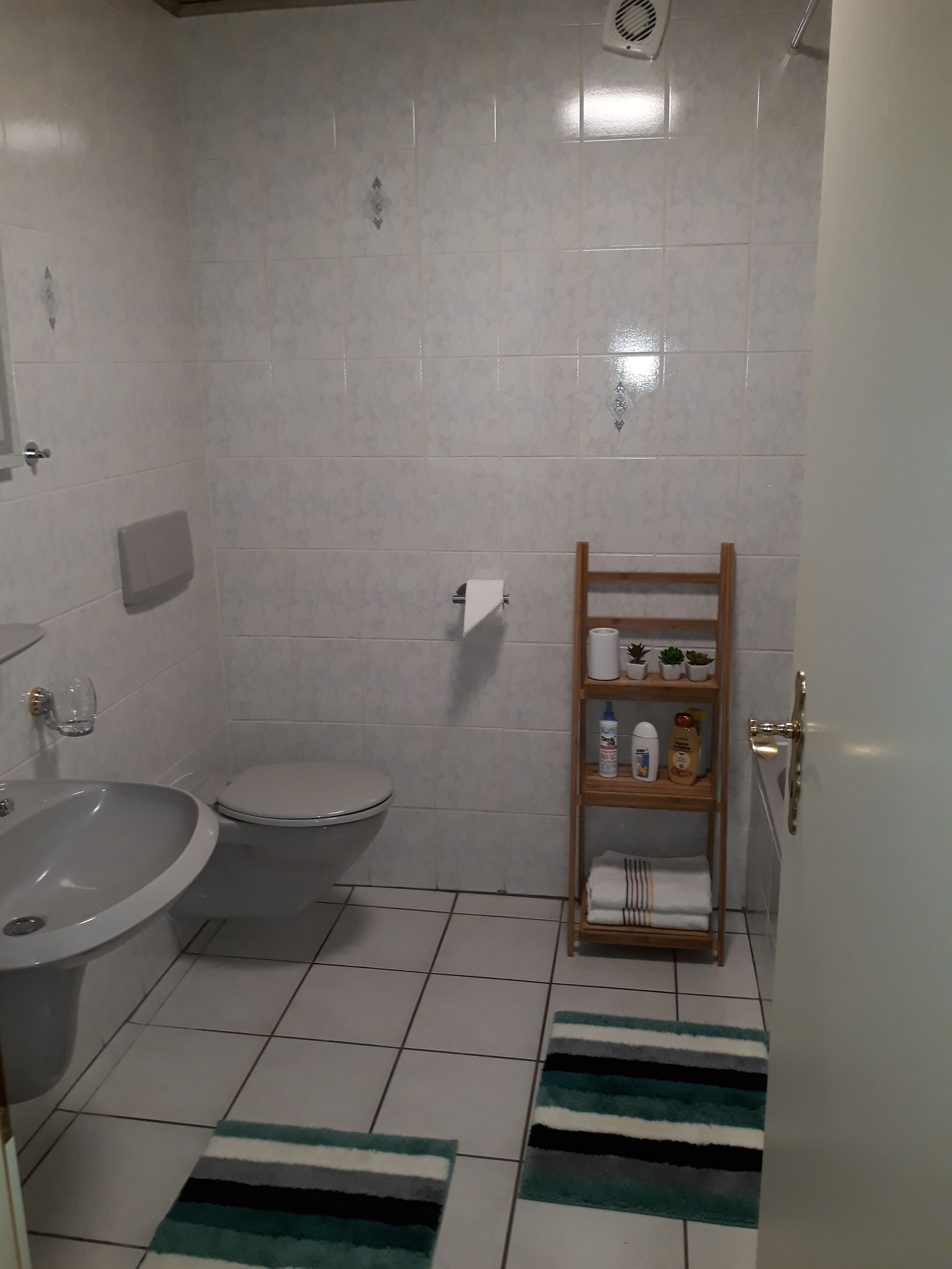A bathroom with a sink, toilet, and a shelf with toiletries.