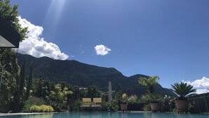 A clear blue pool with a mountain backdrop, surrounded by potted plants and a wooden fence.
