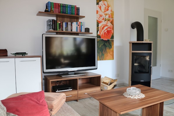 Smart TV, fireplace, DVD player, books