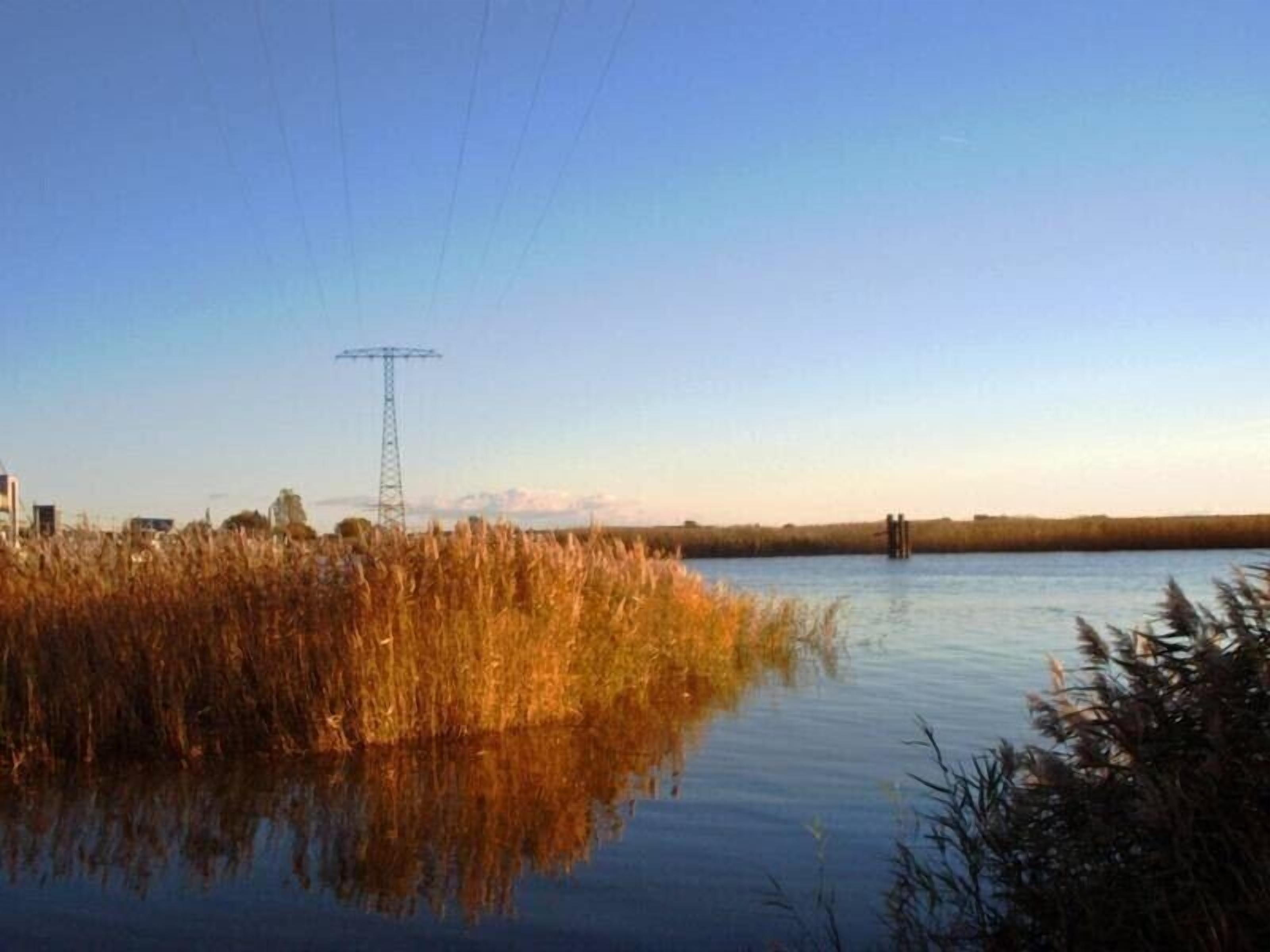 A calm body of water with tall grasses in the foreground and a power line tower in the background.