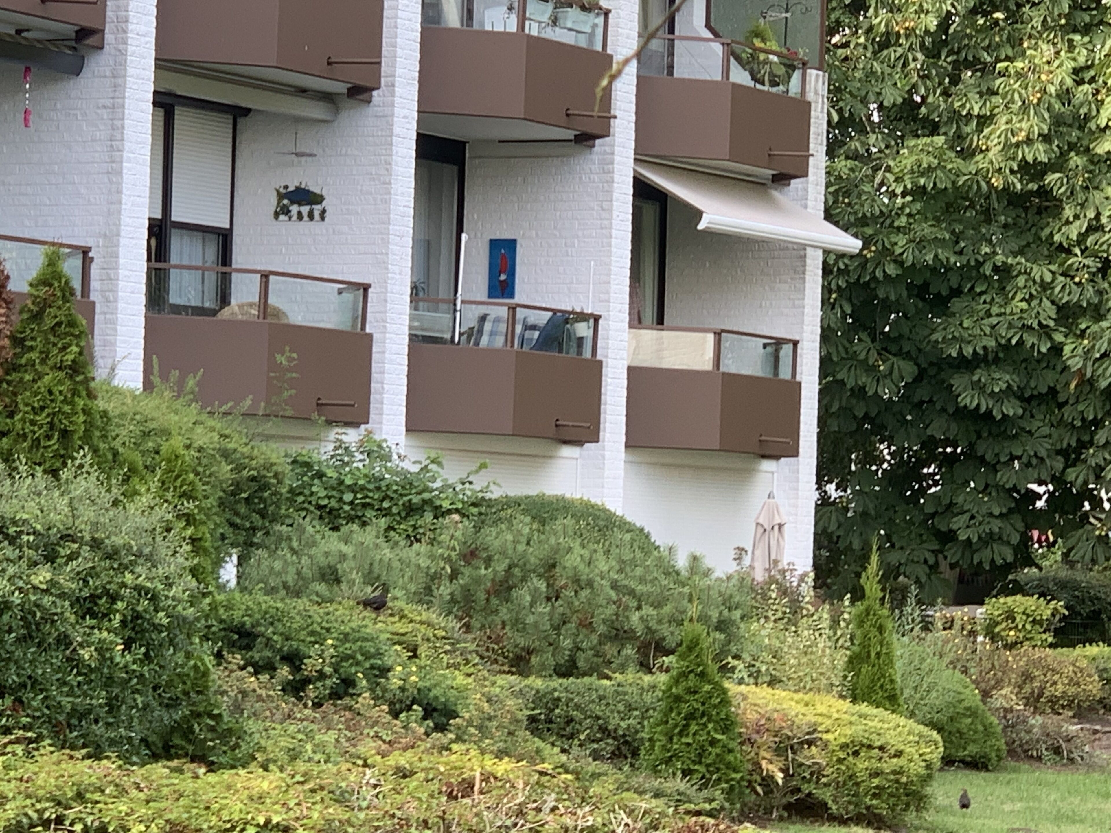 A multi-story residential building with balconies, a garden area, and a tree.