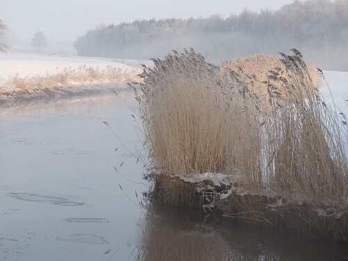 Ferienwohnung Schaa, 85105 - Ferienwohnung Schaa