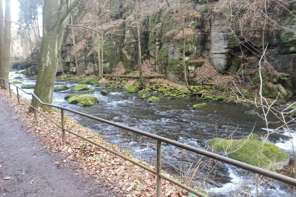 A river flowing through a forested area with a metal railing along the path.