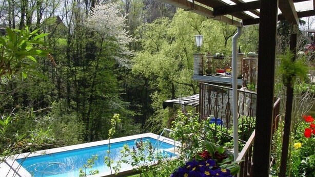 A swimming pool surrounded by lush greenery, a pergola, and a variety of plants and flowers. - Vacation home on the Malerweg with pool, Saxon Switzerland, National Park (Lohmen)