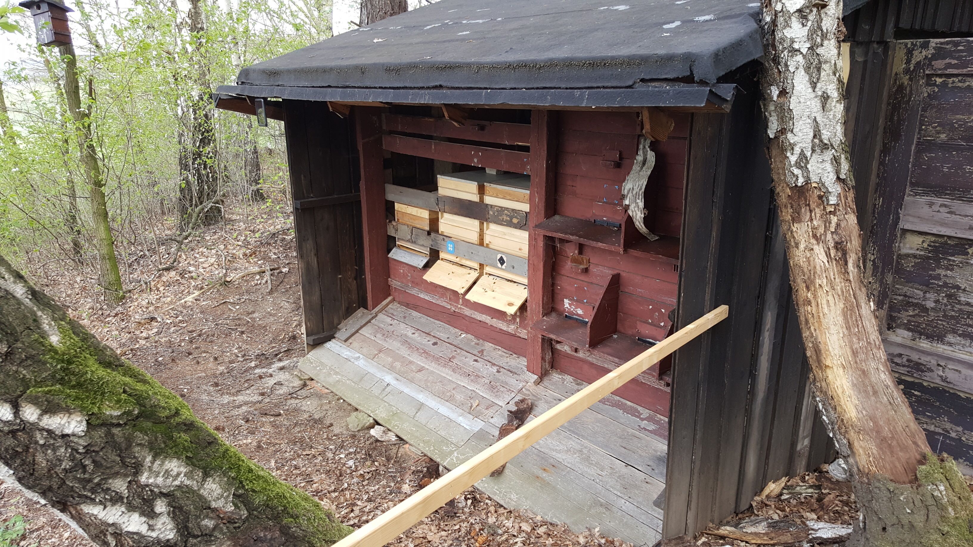 A wooden beehive structure with multiple compartments for bees, surrounded by trees.