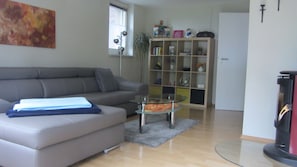 A living room with a grey sofa, a glass coffee table, a bookshelf, and a fireplace. - Holidays in Oberhof -. Thuringia ski No. 1 next to the Rennsteig (Oberhof)