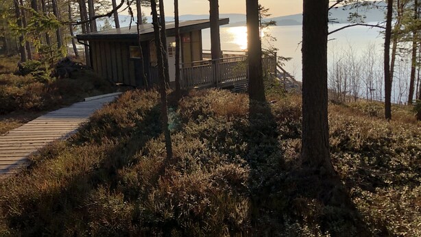 A wooden cabin with a deck, surrounded by dense forest and overlooking a body of water.
