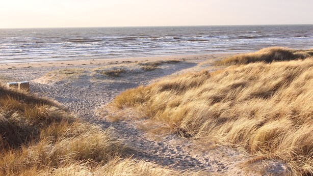 Ein Strand mit Sand und trockenem Gras, eine Holzbank und das Meer im Hintergrund.
