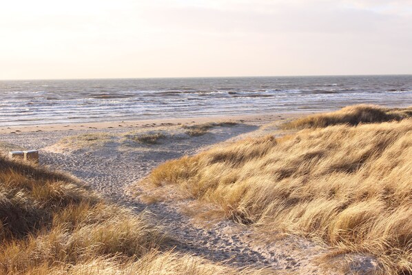 Playa en los alrededores 
