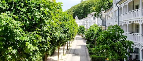 A tree-lined street with white buildings, a clear sky, and a paved walkway.
