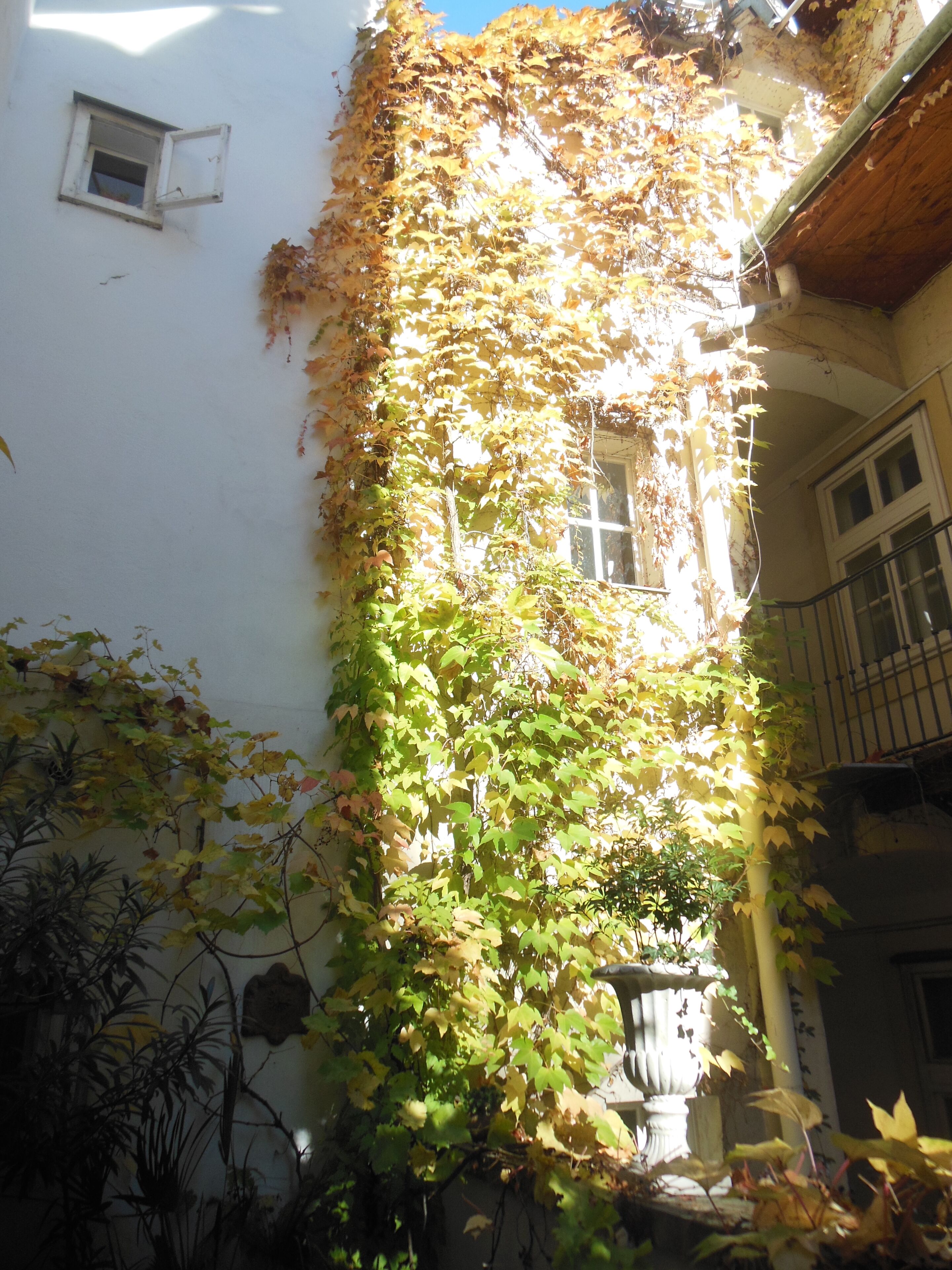 تفاصيل الفندق من الخارج