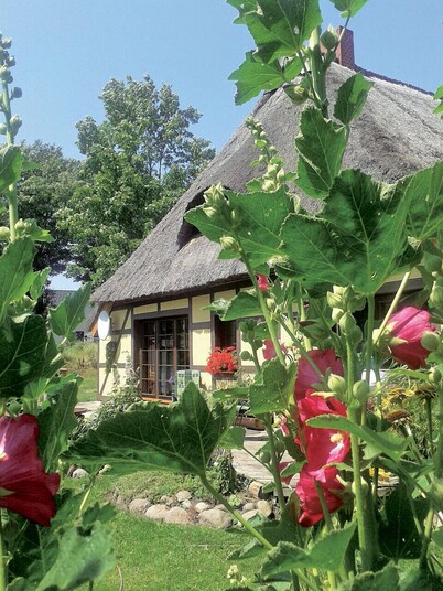 Aquí encontrarás la dicha "felicidad en la esquina".