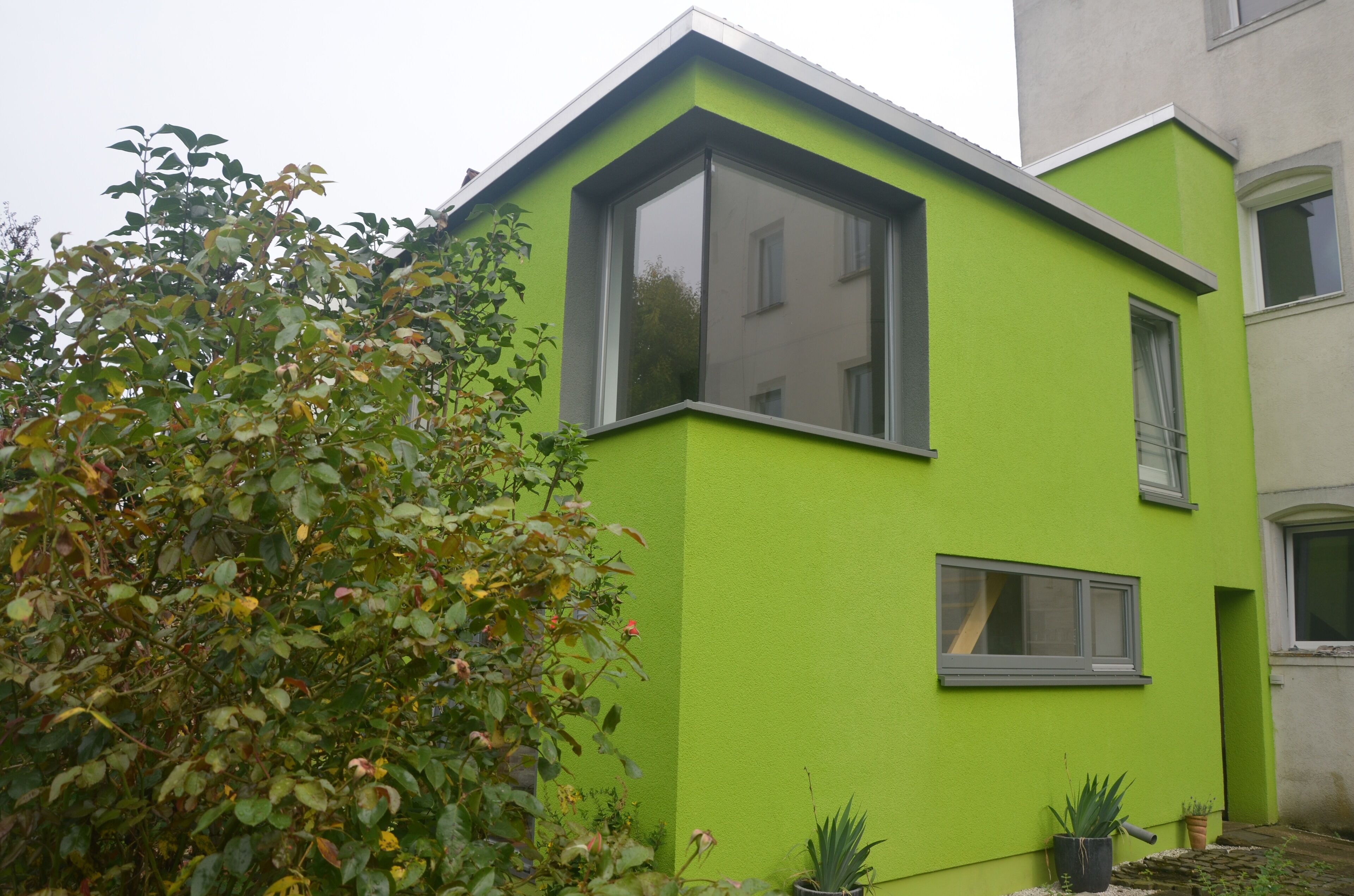 tHE GREEN HOUSE - an apartment in Kassel / Wilhelmshöhe