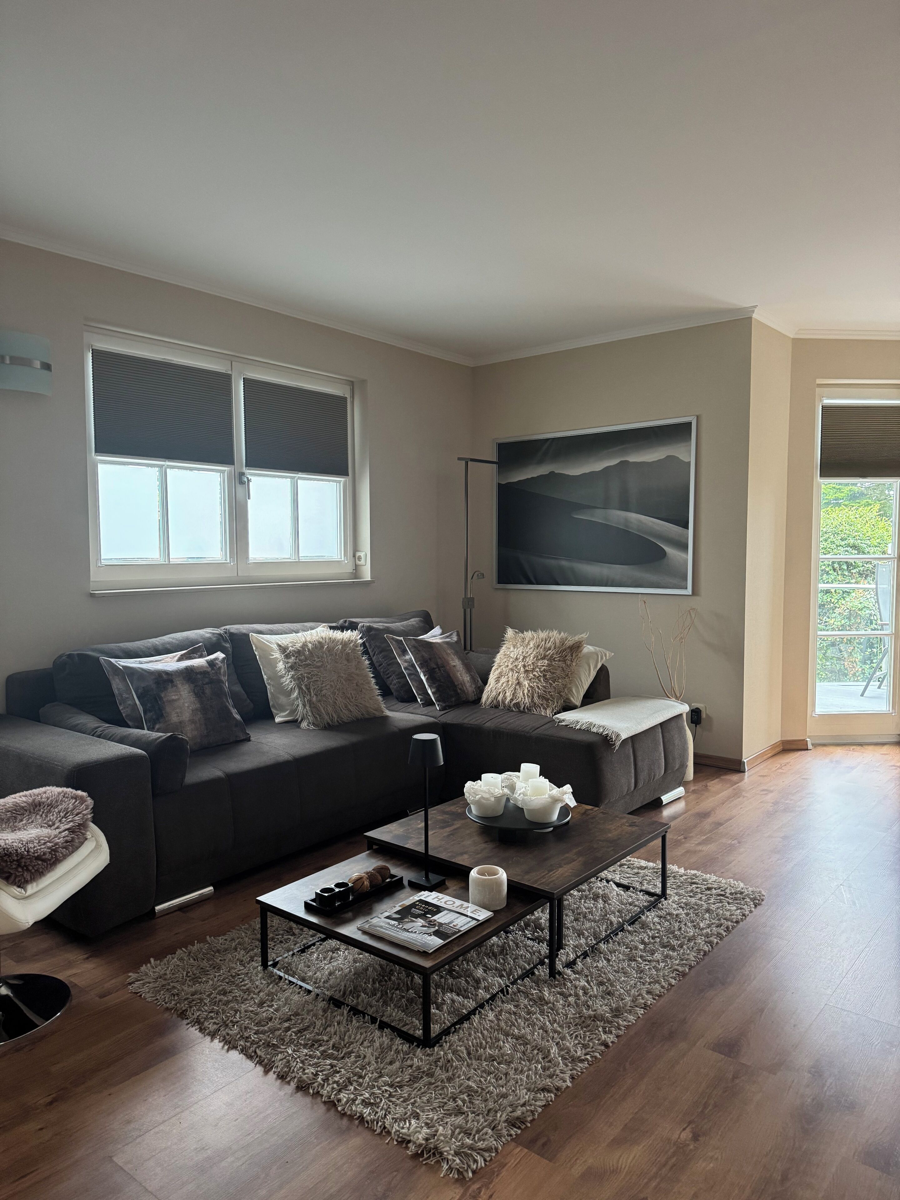 Smart TV, DVD player, books, stereo