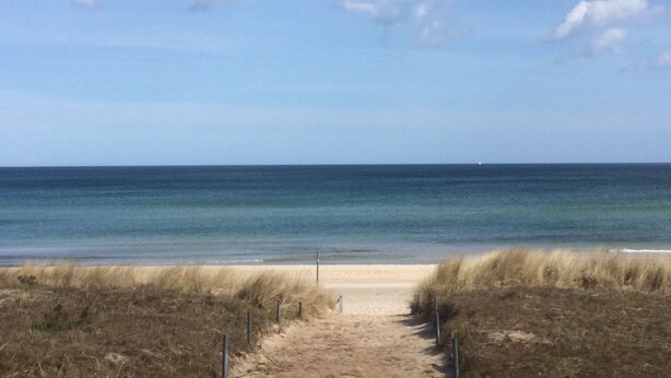A sandy beach path leading to the ocean with a clear sky. - Modern, spacious, high quality furnished, apartment for 2-3 people (Sehlen)