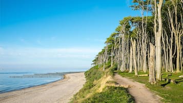 Una spiaggia nelle vicinanze
