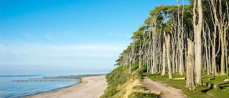 Beach nearby