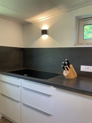 Interior - Chilling and barbecuing in the dune house in Ballum (Ballum)