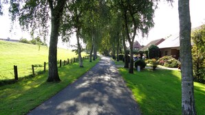 A paved pathway lined with trees and grass, leading to a building with a red roof. -  Apartments directly on the North Sea in Schleswig-Holstein (Friedrichskoog)