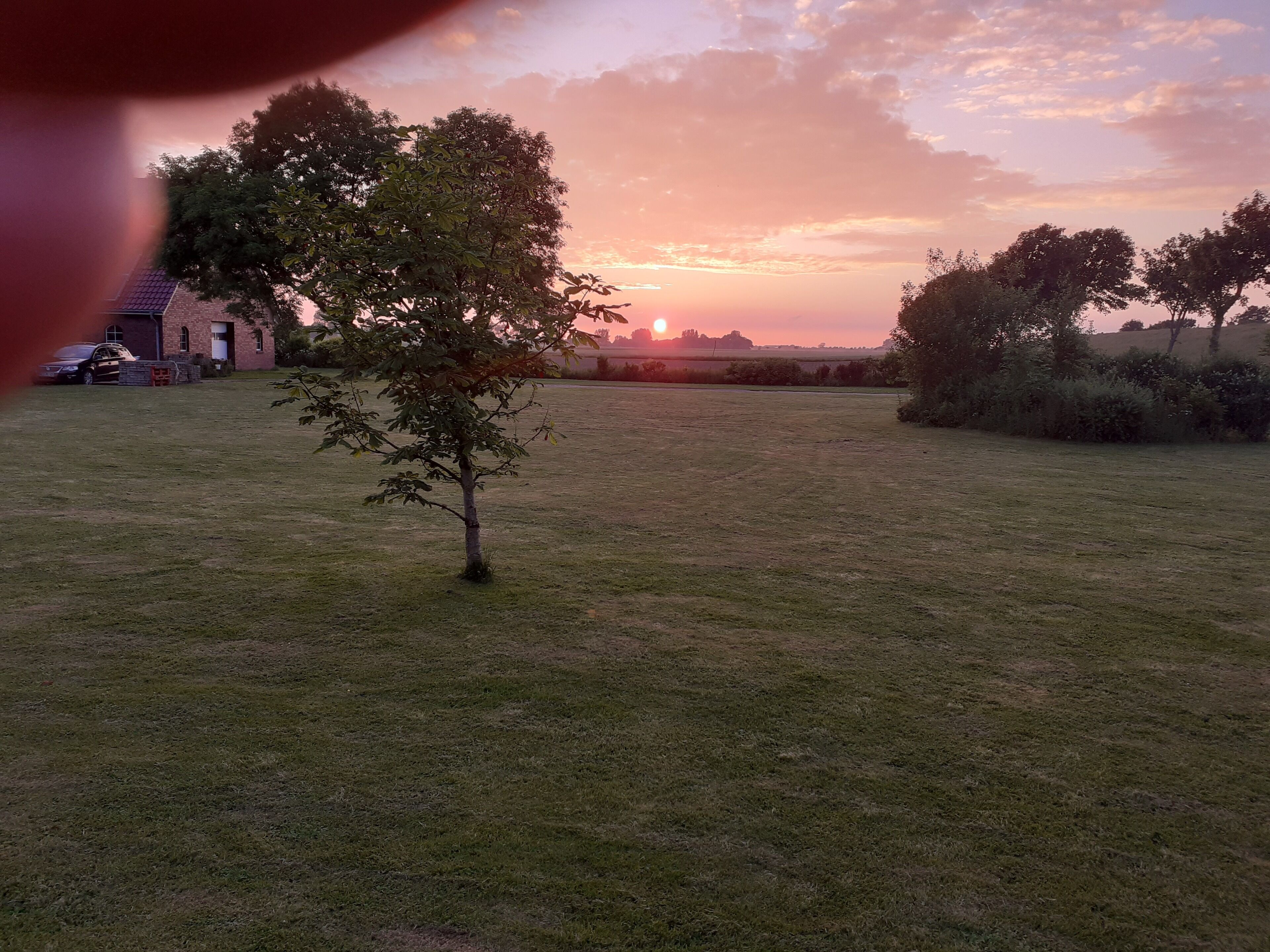 Ein grünes Feld mit einem Baum und einem Gebäude im Hintergrund.