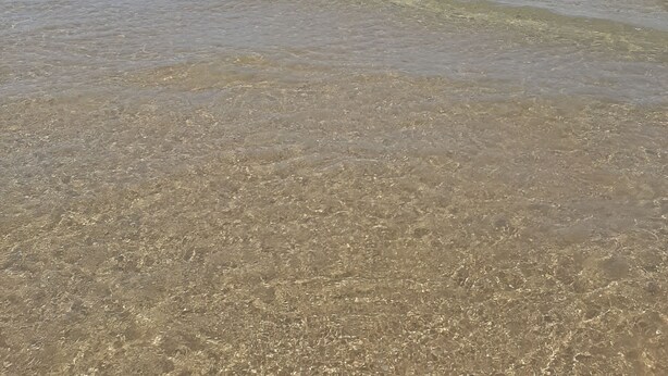 A beach with clear shallow waters and a clear sky. - HOLIDAY HOUSE DIRECTLY BY THE SEA (Oliva Playa)