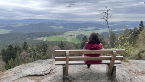 A person sitting on a wooden bench overlooking a mountainous landscape with fields and forests. - Newly renovated apartment f. d. high standards in an idyllic secluded location (Zachenberg)
