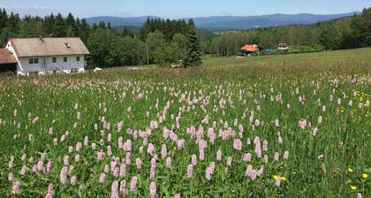 Ferienwohnung für den gehobenen Anspruch in idyllischer Alleinlage