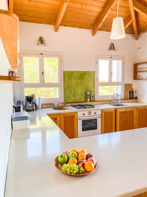 KĂŒhlschrank, Ofen, Herdplatte, GeschirrspĂŒler