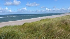Une plage avec un ciel dégagé et des vagues sur l’océan.