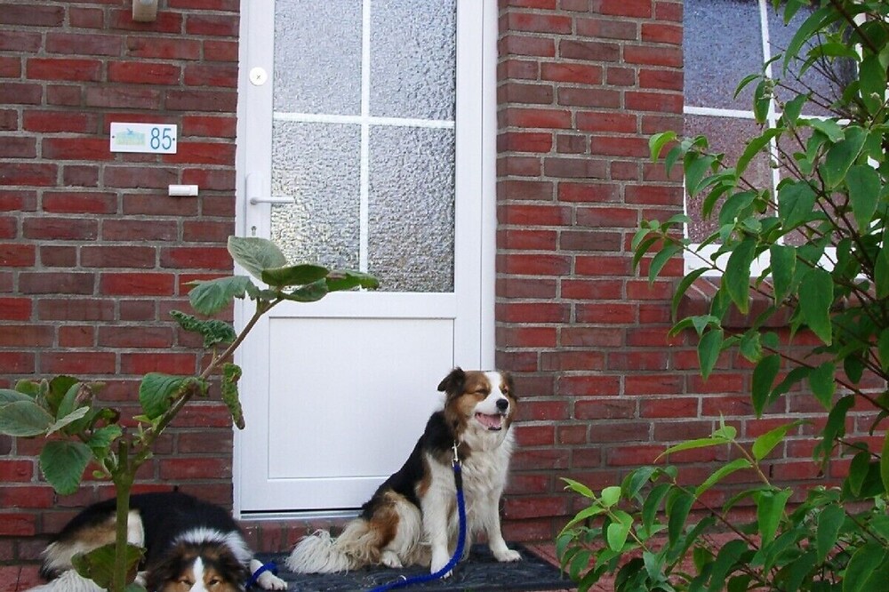 Familienferien an der Nordsee in sonnigem Ferienhaus, strandnah