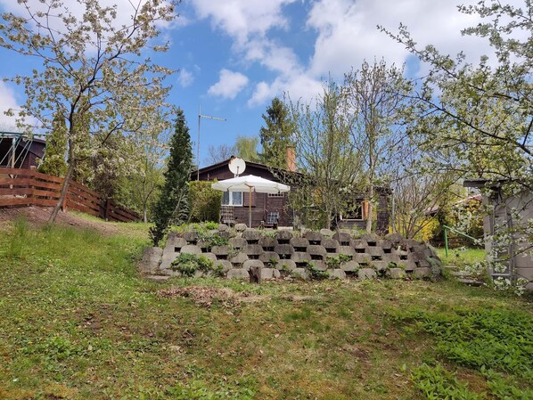 A rustic cabin with a stone wall in front, surrounded by trees and a wooden fence.