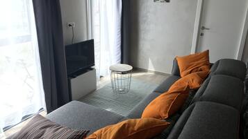 TV, DVD player, toys, books