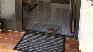 An entrance with a glass door, a metal handle, and a doormat.