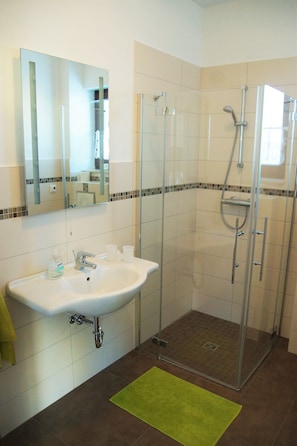 Shower, hair dryer, towels, soap