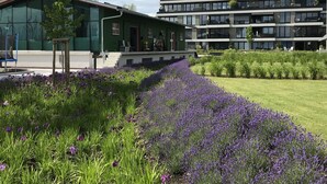 A modern building with a green facade, a covered outdoor seating area, and a garden with purple flowers. - Apartment 90 square meters, open living area with WiGarten, 2 bedrooms, max 5 p. (Kressbronn)