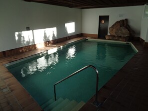 An indoor swimming pool with clear water, a metal handrail, and a stone feature on the wall. - First class 2 room apartment, 2-4 people, close to the center of congress (Graubünden)