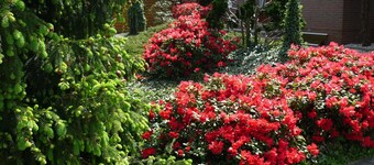 Sunny vacation home with separate entrance