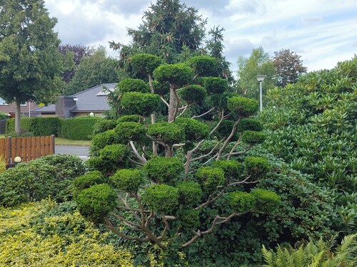 Sunny vacation home with separate entrance