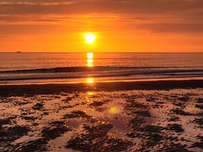 Playa en los alrededores y camastros 