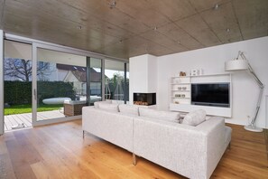 Televisor intel·ligent, llar de foc, llibres i estèreo 