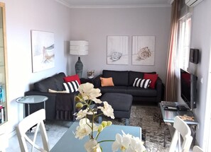 Smart TV, DVD player, books, video library