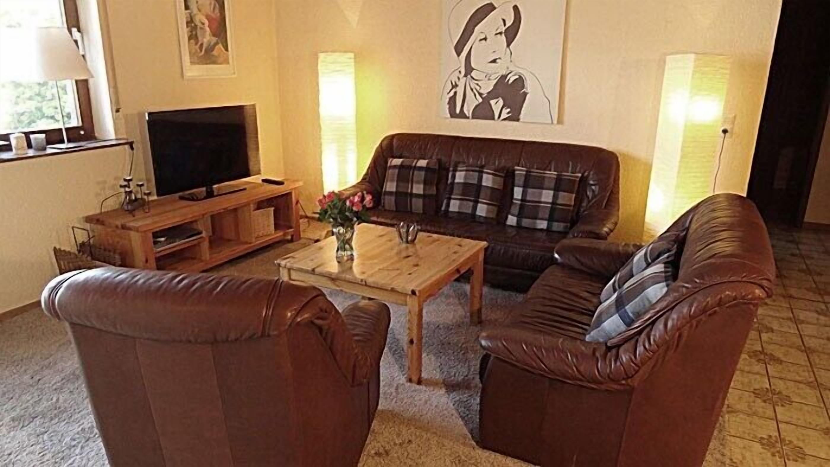 TV connectée, cheminée, lecteur de DVD, livres