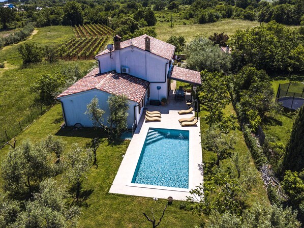 Una casa grande con piscina, rodeada de vegetación exuberante y viñedos.