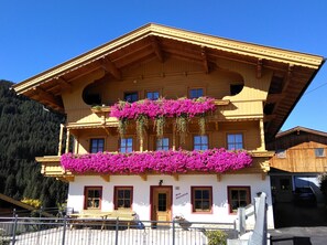 Exterior -  View of the Zillertal mountains, near the ski area (Zillertal)