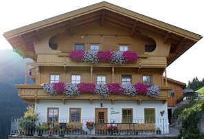 Exterior -  View of the Zillertal mountains, near the ski area (Zillertal)