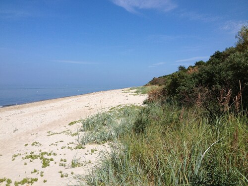 Haus Mirabelle: Baltic Sea view through trees close to the beach (5 min walk)