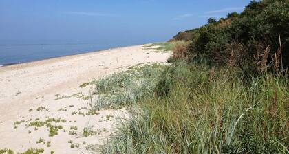 Haus Mirabelle: Baltic Sea view through trees close to the beach (5 min walk)