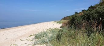 Haus Mirabelle: Baltic Sea view through trees close to the beach (5 min walk)