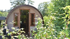 Una cabaña pequeña y redonda de madera, con una puerta y dos ventanas, rodeada de vegetación.