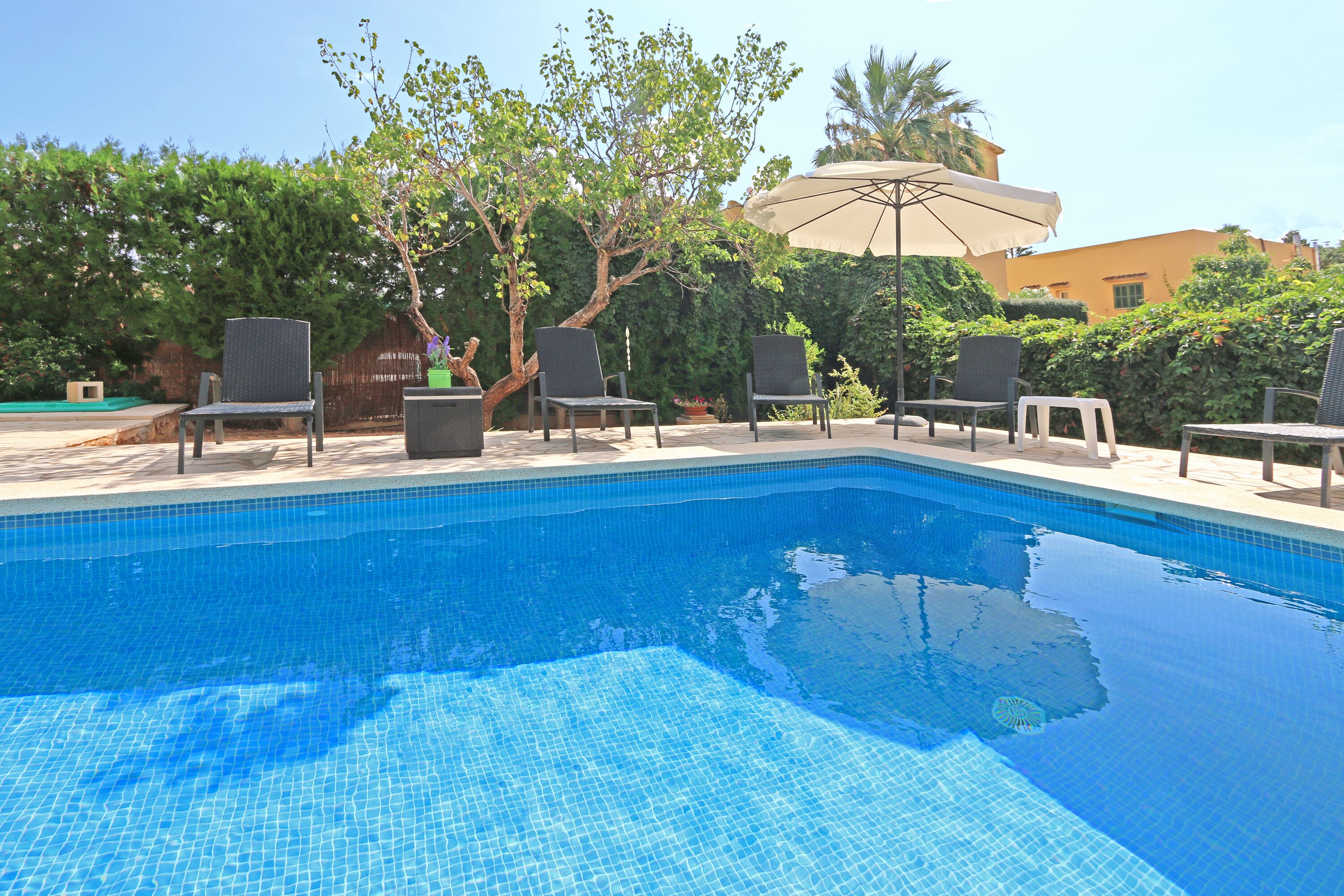 حمام سباحة